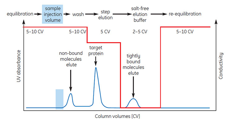 Typical HIC separation using step elution.