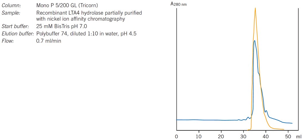Purification of leukotriene A4 hydrolase. Results courtesy of Eva Ohlson, Karolinska Institutet, Stockholm, Sweden Purification of leukotriene A4 hydrolase. Results courtesy of Eva Ohlson, Karolinska Institutet, Stockholm, Sweden