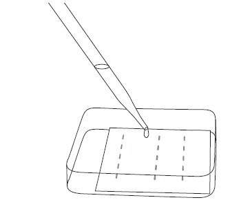 Block membrane by incubating in 2% non-fat dry milk blot buffer Block membrane by incubating in 2% non-fat dry milk blot buffer