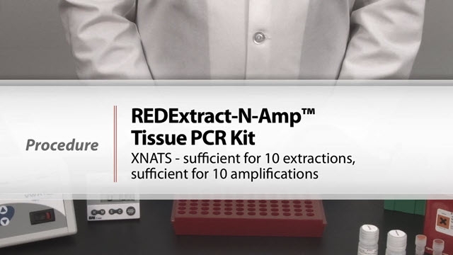 REDExtract-N-Amp™ Tissue PCR Kit