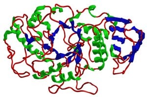 Large molecule HPLC