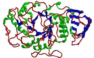 大分子HPLC