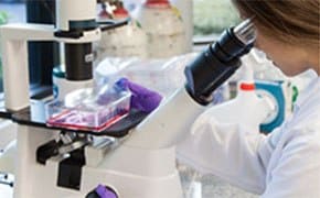 Solutions for common problems with cell culture