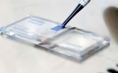 Cell counting using Trypan Blue dye and a hemocytometer