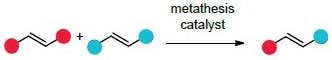 Cross metathesis brings two olefins together in an intermolecular reaction to give an olefin product bearing substituent from each of the starting olefins.