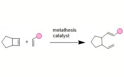 Ring-opening metathesis is driven by the is driven by the force to relieve ring strain. In absence of excess of a second reaction partner, polymerization occurs (ROMP). 