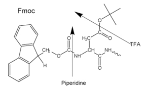 Side-chain protecting groups for solid-phase peptide synthesis (SPPS) are often chosen so as to be cleaved simultaneously with detachment of the peptide from the resin.