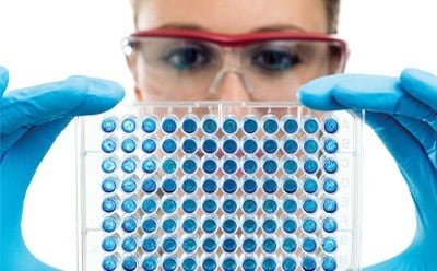 ELISA microtiter plate Scientist examining ELISA microtiter plate