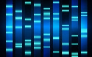 Nucleic Acid Gel Electrophoresis