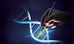 Genome editing techniques