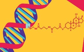 DNA和RNA标记和检测方法以及具体实验步骤