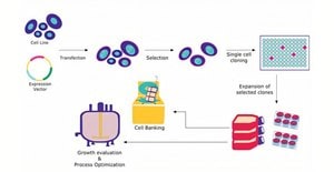 Cloning & Expression