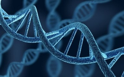 DNA 结构 - 有各种方法用于 DNA 纯化