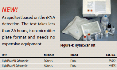 基于rRNA检测原理的快速试纸