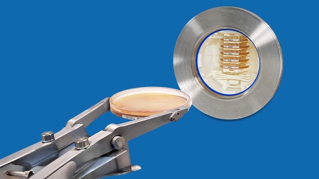 A laboratory image featuring a metal apparatus with a circular opening displaying a series of petri dishes inside. In the foreground, a pair of forceps is holding a petri dish, showcasing a hands-on approach to scientific experimentation. The background is a bright yellow, enhancing the focus on the equipment and the petri dish.