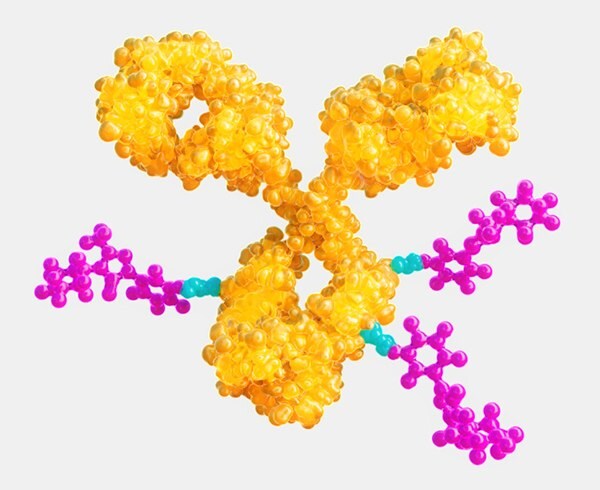 Antibody-drug conjugation (ADC) services Illustration depicting antibody-drug conjugate (ADC) used to deliver highly active pharmaceutical ingredients