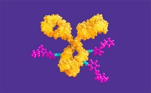 抗体药物偶联物(ADC)生产