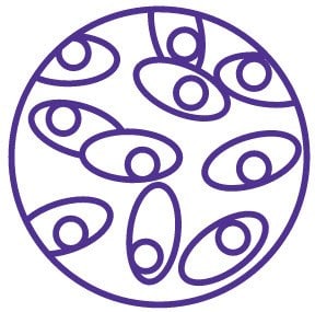 A purple line art design featuring a circular pattern with symmetrical elements that resemble cell line development.