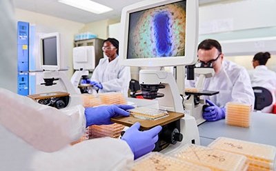 The image depicts a modern laboratory setting with multiple microscopes and computer monitor displays an enlarged, colorful image—likely of a cellular structure. The image depicts a modern laboratory setting with multiple microscopes and computer monitor displays an enlarged, colorful image—likely of a cellular structure.