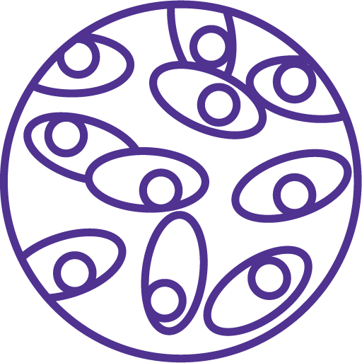 Purple circular diagram illustrating cell division and growth. The interconnected oval and irregular cell shapes within the circular structure suggest dynamic biological processes.