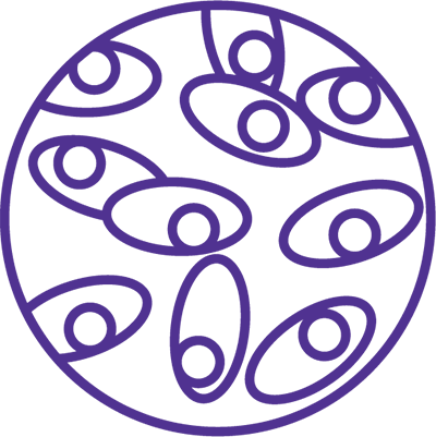 A purple line art design featuring a circular pattern with symmetrical elements that resemble cell line development.