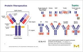 Chromosomes slide from webinar