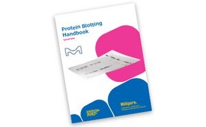 蛋白质印迹手册 