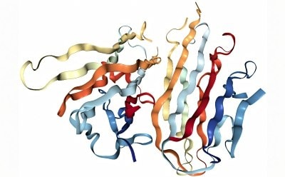 A 3D illustration of a complex protein structure with intertwined ribbons in various colors representing the folding of amino acid chains.