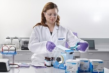 Western blotting lab. Western blotting technique for protein detection