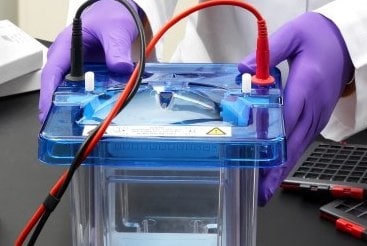 Gel electrophoresis chamber for running protein gels.
