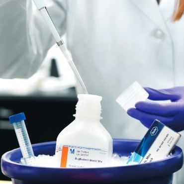 Cell lysis of proteins for Western blotting.