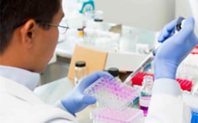 Research scientist filling plate 实验室中,一位戴着蓝色手套的科学家正将粉色液体移液到多孔板中。