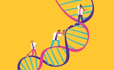 Benzonase® Salt Tolerant endonuclease 核酸内切酶