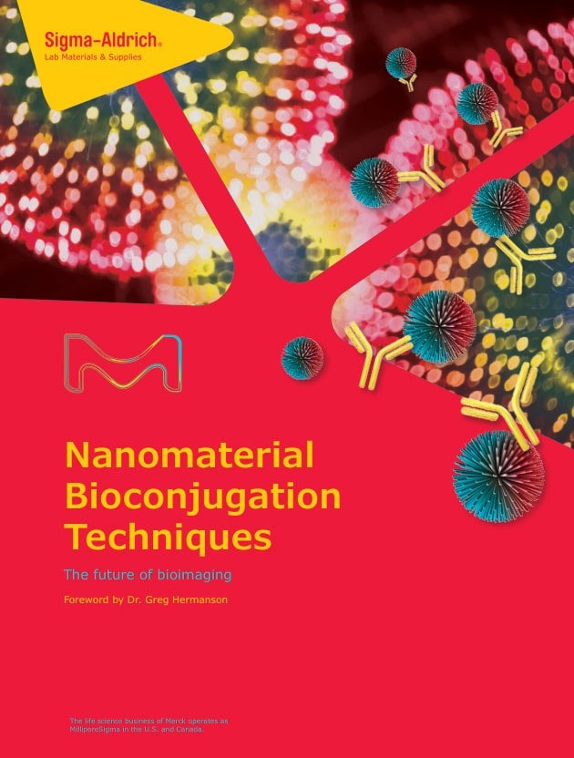 Nanomaterial Bioconjugation Techniques