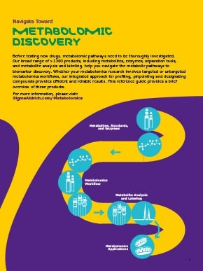 Metabolomic Discovery Brochure Page 3