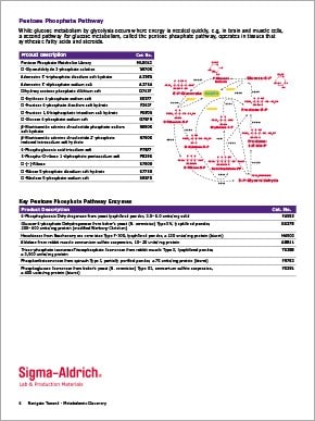 Metabolomic Discovery Brochure Page 6