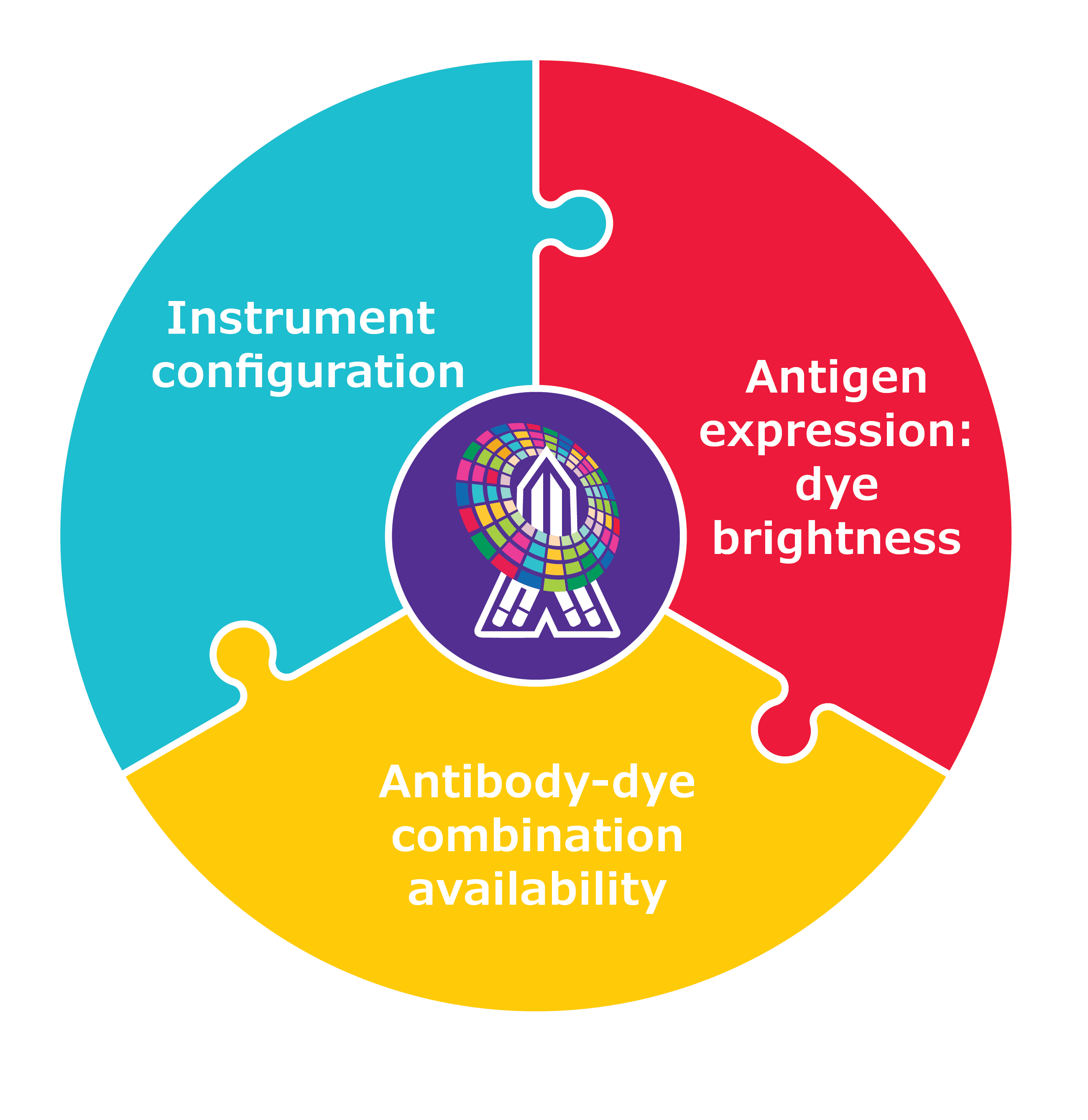 ColorWheel® antibodies and dyes help solve the flow cytometry multiplexing puzzle by fitting together the different pieces or challenges of multiplexing in flow cytometry including instrument configuration, antigen expression/dye brightness, and antibody-dye combination availability.