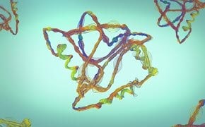 a colorful and intricate molecular structure with intertwined strands in various shades of brown, orange, blue, and green against a soft teal background.