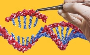 Learn how to understand, design and perform CRISPR experiments, as well as design gRNA, choose a Cas9 format, screen with CRISPR, use advanced CRISPR formats, and much more…
