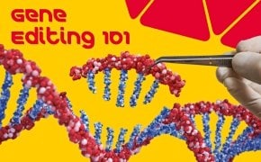 gene-editing-101-ebook.jpg
