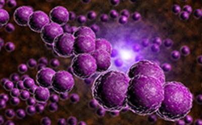 Antibiotics The image shows a cluster of spherical purple objects that resemble cells or particles. They have a textured surface and are set against a dark background with a subtle glow.