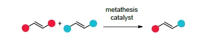 Cross metathesis brings two olefins together in an intermolecular reaction to give an olefin product bearing substituent from each of the starting olefins.