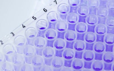 Close-up photograph of multi-pipettes adding samples to the deep well tray of a metabolite library kit with a violet solution in a laboratory.