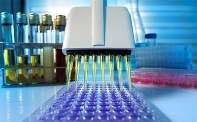 A laboratory setting. The main focus is on a multi-channel pipette dispensing a purple liquid into a tray of wells. In the background, there are test tubes with yellow and green liquids held in a rack. Additional lab materials are blurred in the foreground and background, emphasizing the focus on the pipette and well tray.