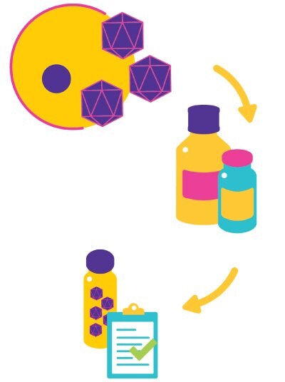 VirusExpress® AAV Production Platform 彩色的工艺示意图,先从黄色和橙色的调色板中取出紫色几何图案,转入两个彩色瓶子,接着通过绿色打勾标记的书写板代表通过检测和审核。