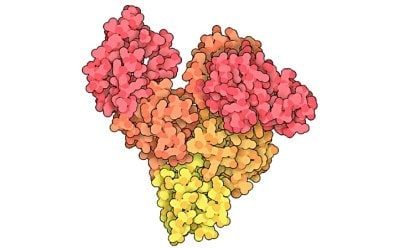Colorful and intricate representation of a Bovine Serum Albumin (BSA) protein complex. The complex structure of the BSA protein is highlighted, emphasizing its role as a crucial carrier protein, a protein standard, and a cell culture supplement. The image underscores the significance of BSA in various biological processes and its importance in the field of biotechnology.