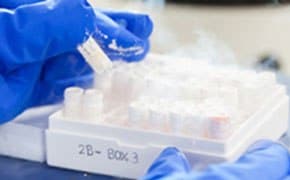 The image depicts the hands of a person in a laboratory setting, handling a vial over a tray filled with multiple vials.