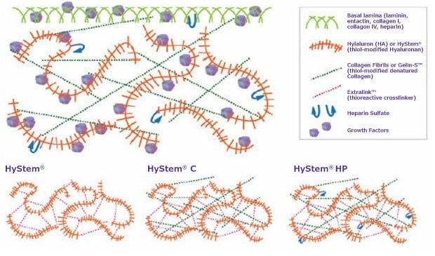 Synthetic Extracellular Matrix (ECM) Reconstituted hydrogels for 3D cell culture (HYS020)