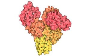 The image depicts a Y-shaped molecular structure with clusters of molecules in vibrant shades of pink, orange, and yellow. 