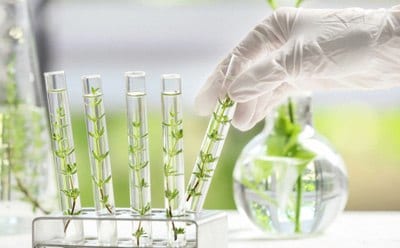 sigma-aldrich植物细胞、组织和器官培养试剂